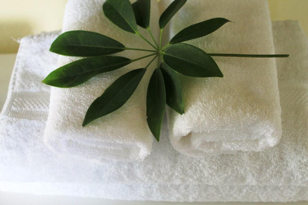 Hotel Boutique Valverde Cumbres De La Escalon Mexicanos エクステリア 写真