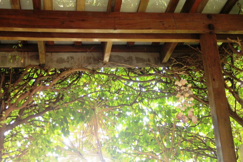 Hotel Boutique Valverde Cumbres De La Escalon Mexicanos エクステリア 写真